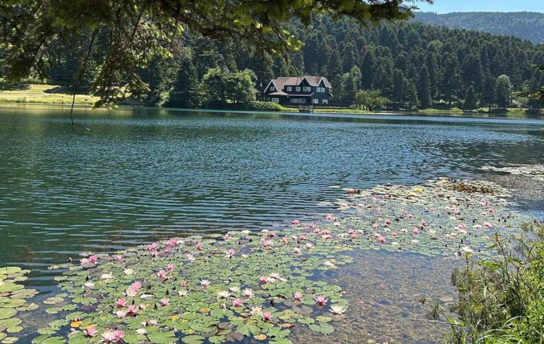 Fotoğraf çekeyim derken hayatının şokunu yaşayabilirsin: Yanına yaklaşana bile ceza yağacak 6